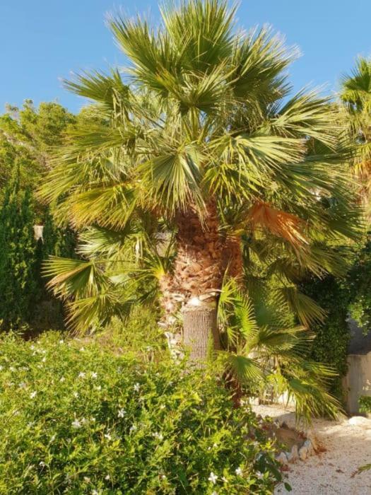 Banyan Cotobro Villa Almunecar Ngoại thất bức ảnh